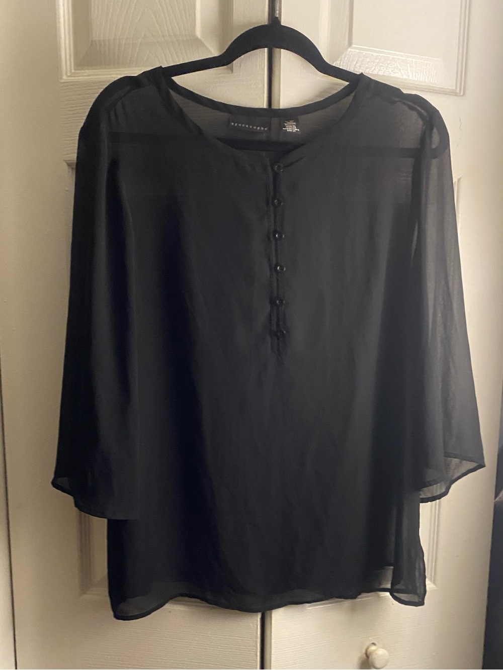 Apostrophe Sheer Black Henley Blouse with Button Placket